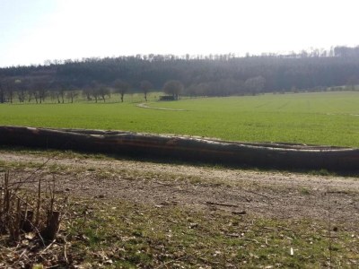 Apartment Wohnung im Teutoburger Wald Externsteine - Environment photo 18