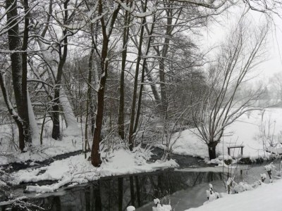Apartment Wohnung im Teutoburger Wald Externsteine - Environment photo 21