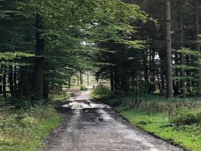 Apartment Wohnung im Teutoburger Wald Externsteine - Environment photo 22