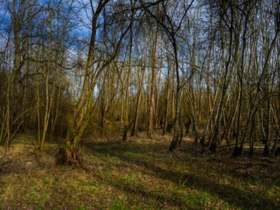 Apartment Wohnung im Teutoburger Wald Externsteine - Environment photo 24