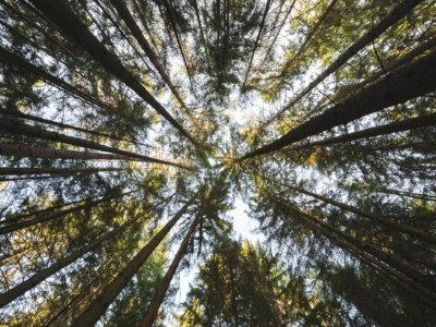 Apartment Wohnung im Teutoburger Wald Externsteine - Environment photo 33