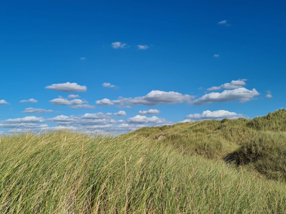 Holiday house 8 person holiday home in Pandrup-By Traum - Outdoor photo 4