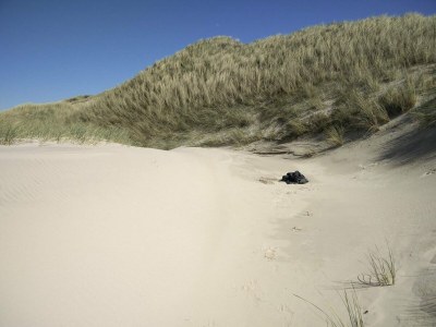 Holiday house 8 person holiday home in Pandrup-By Traum - Outdoor photo 14