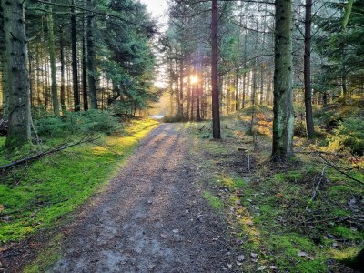 Holiday house 8 person holiday home in Pandrup-By Traum - Outdoor photo 15