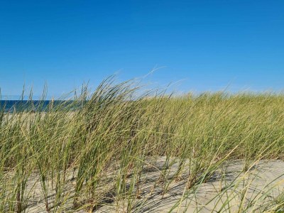 Holiday house 8 person holiday home in Pandrup-By Traum - Outdoor photo 31