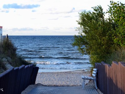 Holiday apartment Ferienwohnung Moni - Outdoor photo 8