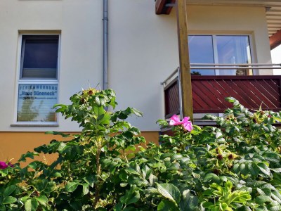 Holiday apartment Ferienwohnung Moni - Outdoor photo 9