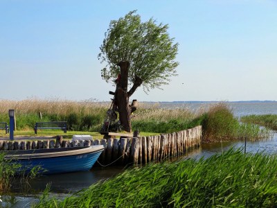 Holiday apartment Ferienwohnung Moni - Environment photo 26