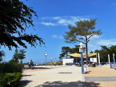 Holiday apartment Ferienwohnung Moni - Environment photo 28