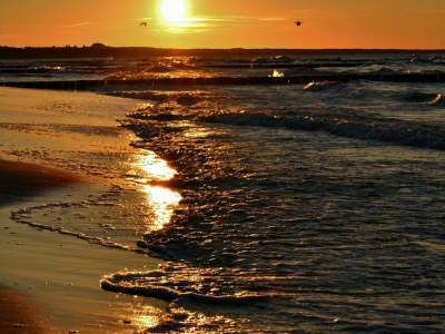 Holiday apartment Ferienwohnung Moni - Environment photo 29