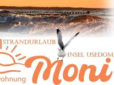 Holiday apartment Ferienwohnung Moni - Document photo 31