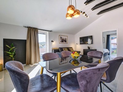 Apartment Arta 1 - Luxury penthouse - Features photo 6