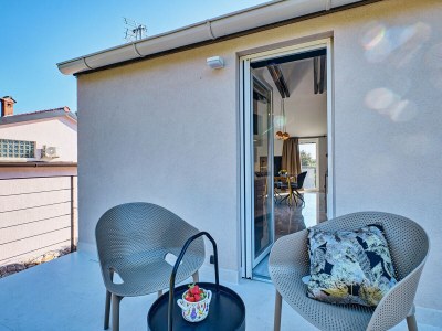 Apartment Arta 1 - Luxury penthouse - Features photo 12