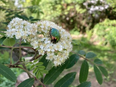 Holiday house Urwald - Outdoor photo 4