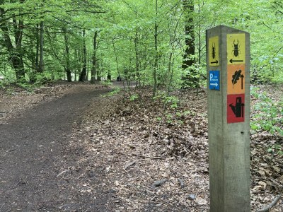 Holiday house Urwald - Environment photo 28