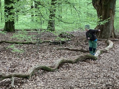 Holiday house Urwald - Environment photo 29