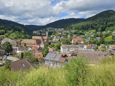 Holiday apartment Waldblick - Environment photo 24