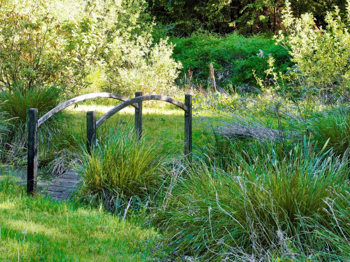 Holiday house 7 Personen Ferienhaus in Hornbæk-By Traum - Outdoor photo 5