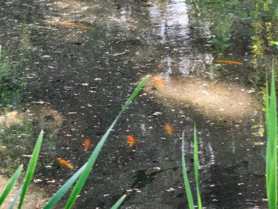 Holiday house 7 Personen Ferienhaus in Hornbæk-By Traum - Outdoor photo 7