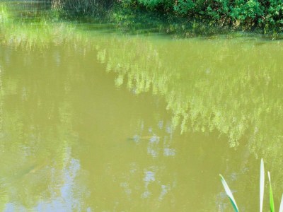 Holiday house 7 Personen Ferienhaus in Hornbæk-By Traum - Outdoor photo 11