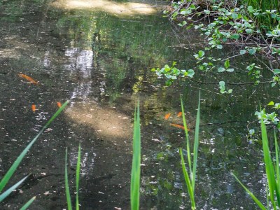 Holiday house 7 Personen Ferienhaus in Hornbæk-By Traum - Outdoor photo 15