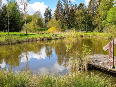 Holiday house 7 Personen Ferienhaus in Hornbæk-By Traum - Outdoor photo 20