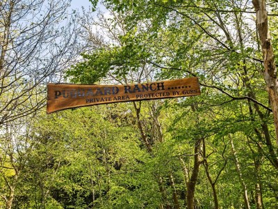 Holiday house 7 Personen Ferienhaus in Hornbæk-By Traum - Outdoor photo 21