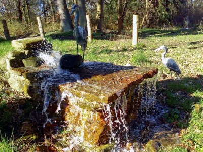 Holiday house 7 Personen Ferienhaus in Hornbæk-By Traum - Outdoor photo 22