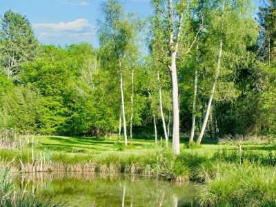 Holiday house 7 Personen Ferienhaus in Hornbæk-By Traum - Outdoor photo 31