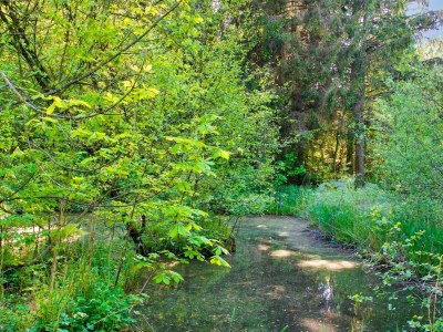 Holiday house 7 Personen Ferienhaus in Hornbæk-By Traum - Outdoor photo 36