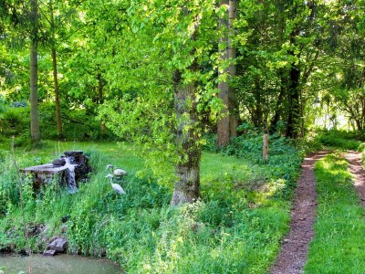 Holiday house 7 Personen Ferienhaus in Hornbæk-By Traum - Outdoor photo 37