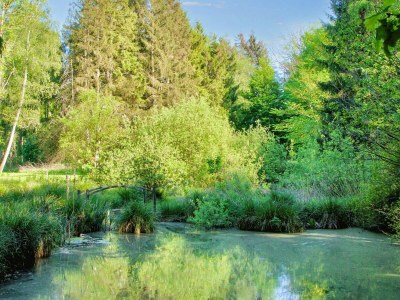 Holiday house 7 Personen Ferienhaus in Hornbæk-By Traum - Outdoor photo 39