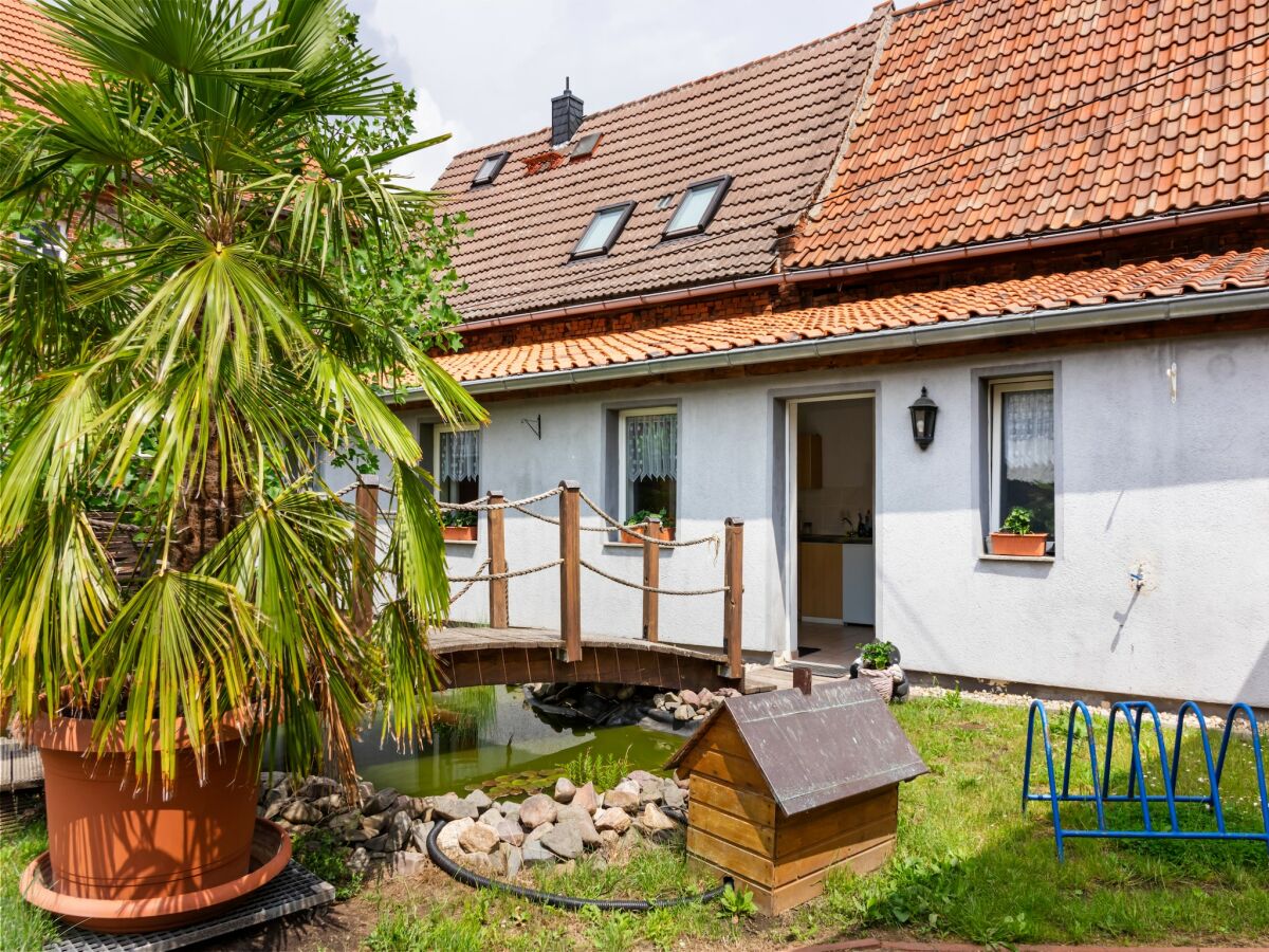 Apartment Ferienhaus in Meisdorf - Outdoor photo 2