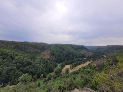 Apartment Ferienhaus in Meisdorf - Environment photo 22