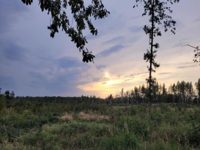 Apartment Ferienhaus in Meisdorf - Environment photo 28