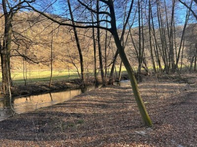 Apartment Ferienhaus in Meisdorf - Environment photo 30