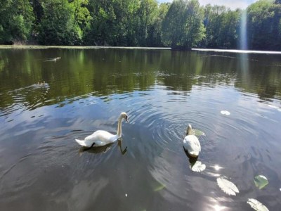 Apartment Ferienhaus in Meisdorf - Environment photo 32