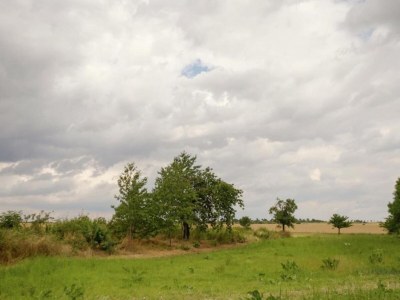 Apartment Ferienhaus in Meisdorf - Environment photo 33