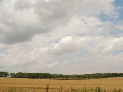 Apartment Ferienhaus in Meisdorf - Environment photo 34