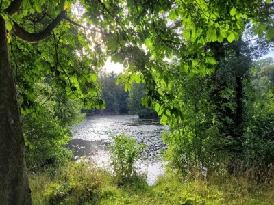 Apartment Ferienhaus in Meisdorf - Environment photo 35