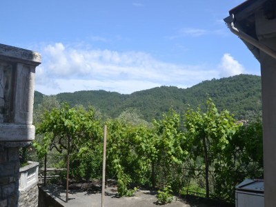 Holiday house Naturrefugium in Testico - Environment photo 36