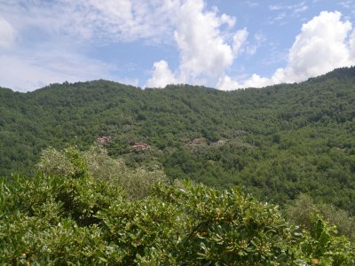 Holiday house Naturrefugium in Testico - Environment photo 37