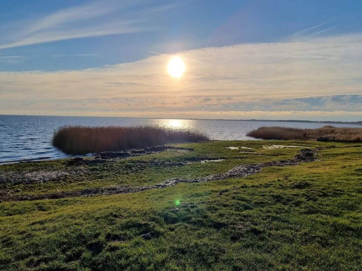 Apartment 4 person holiday home in Ringkøbing-By Traum - Outdoor photo 5