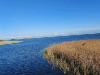Apartment 4 person holiday home in Ringkøbing-By Traum - Outdoor photo 39