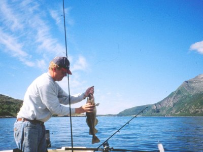 Holiday house 6 person holiday home in Sandhornøy - Outdoor photo 8