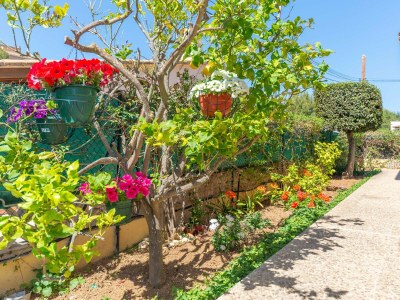 Holiday house MAGDALENA GOMILA MARIMON (LLAC BLAU) - Outdoor photo 12