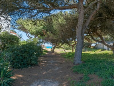 Holiday house VILLA CANTA - Environment photo 37