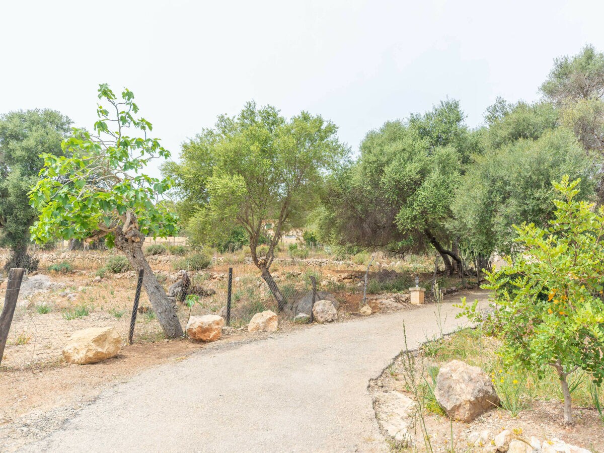 Holiday house SON ORLANDIS - Outdoor photo 4