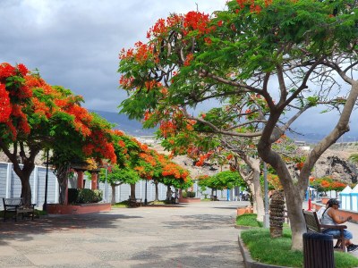 Holiday apartment La gota del mar - Environment photo 34