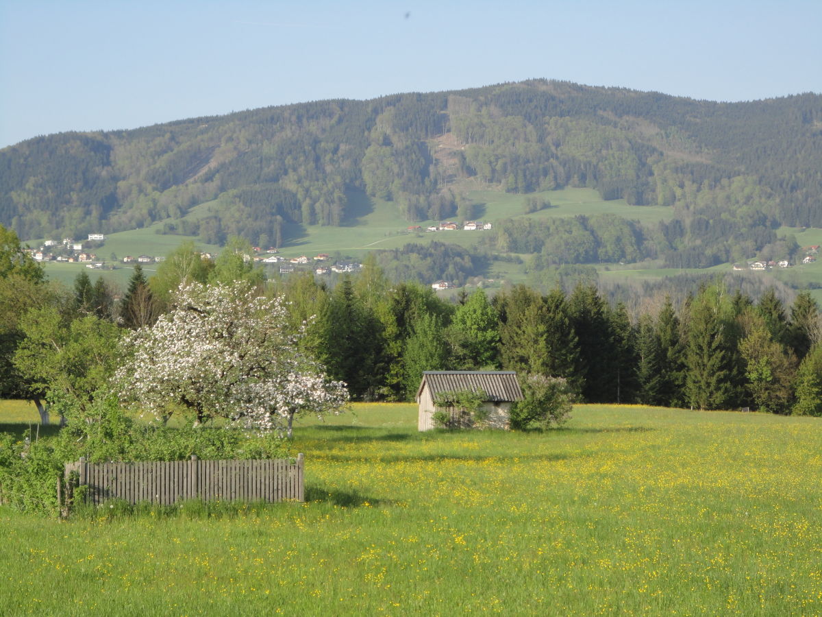 Holiday apartment Putz 2 - Outdoor photo 4